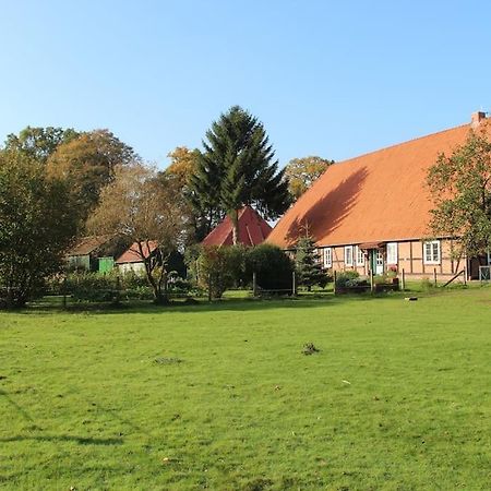 Ferienwohnung auf dem Pferdehof Sumte Exterior foto